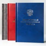  - картинка 7