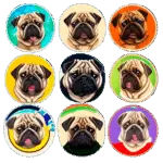  - картинка 2