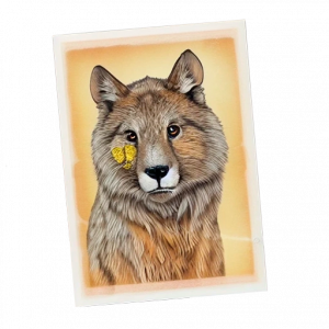 На самоклеящейся бумаге