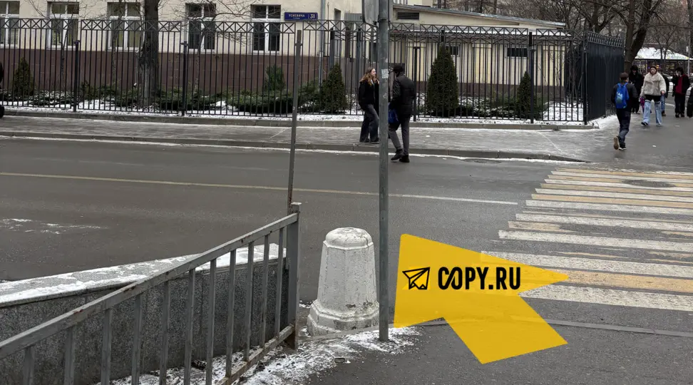 Copy.ru Сокол