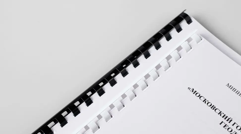  - картинка 5