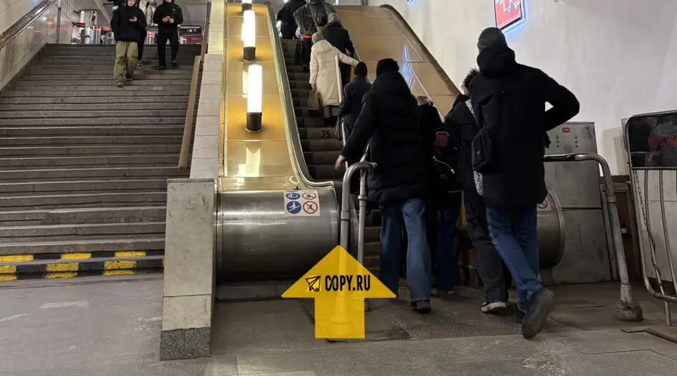 Copy.ru Академическая