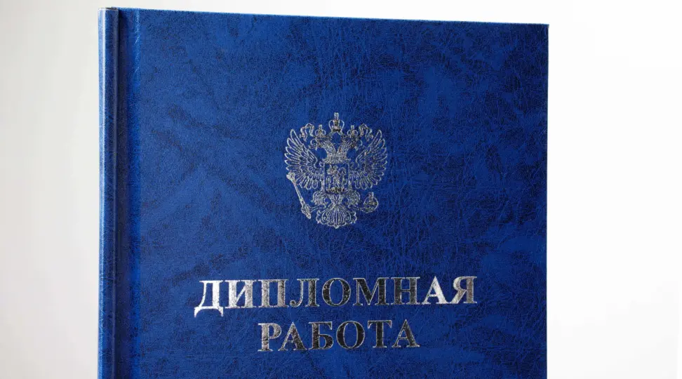  - картинка 4