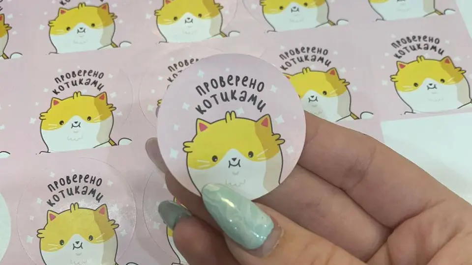  - картинка 2