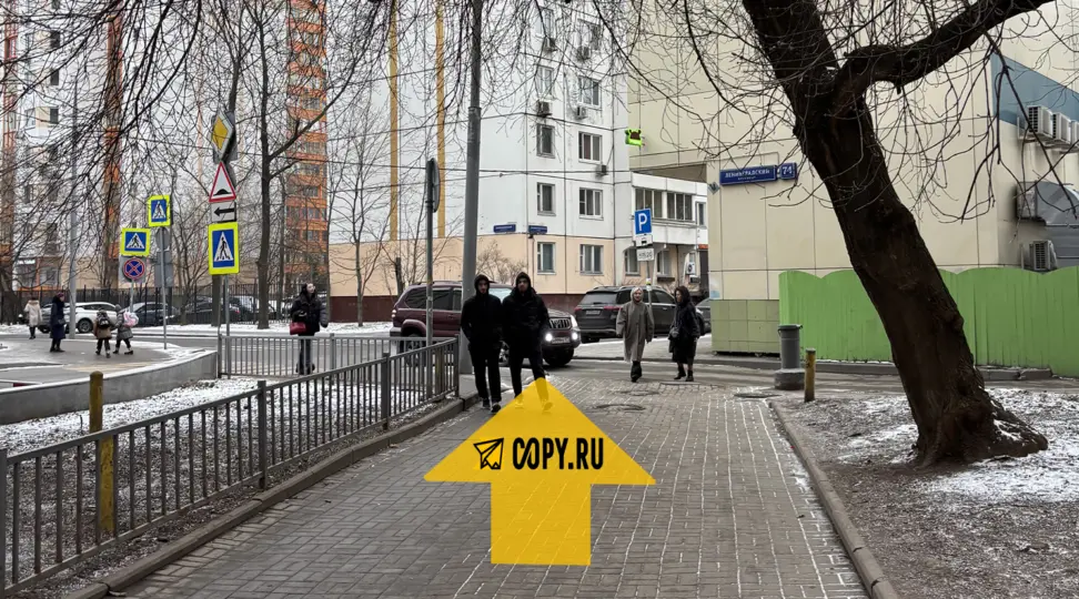 Copy.ru Сокол