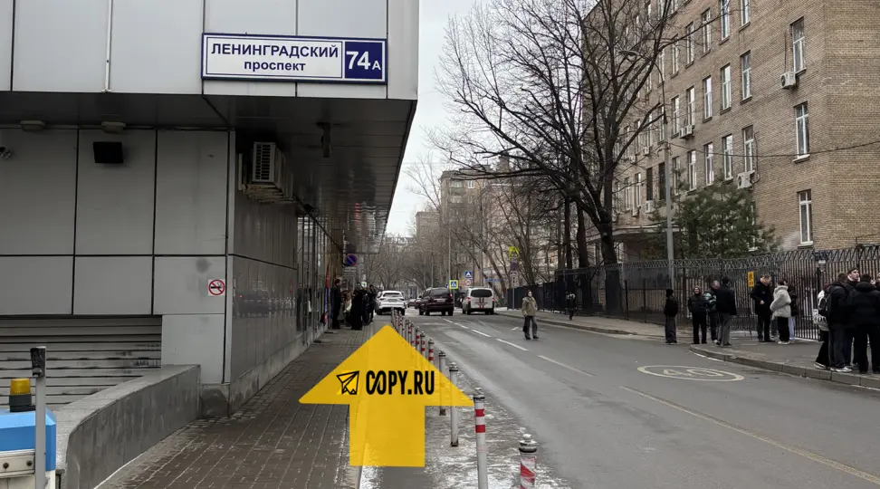 Copy.ru Сокол