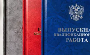 печать и переплёт выпускных квалификационных работ в екатеринбурге - картинка 9