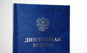 печать и переплёт дипломных работ в екатеринбурге - картинка 10