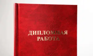 печать и переплёт дипломных работ в екатеринбурге - картинка 8
