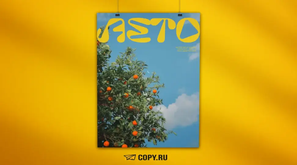  - картинка 6