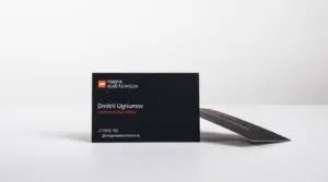 печать недорогих визиток в екатеринбурге - картинка 9