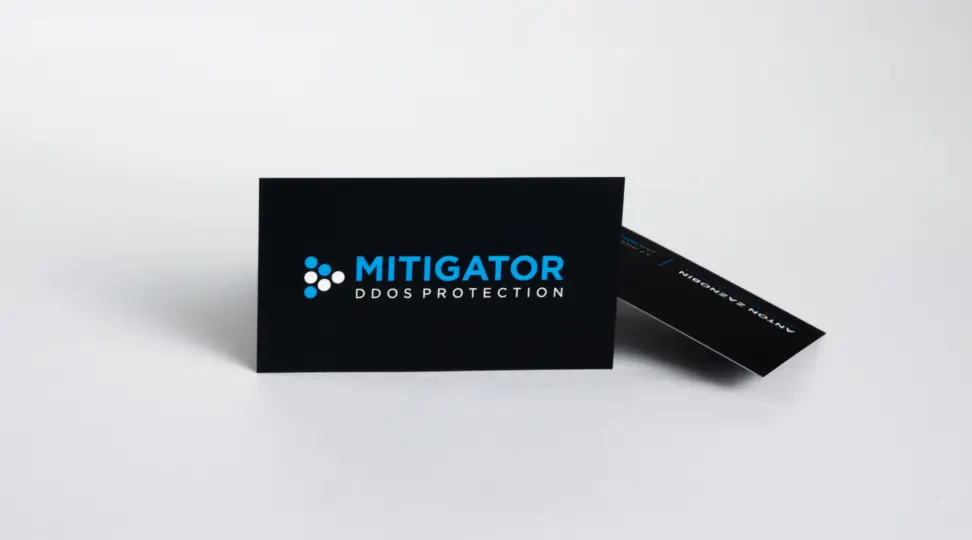  - картинка 2