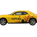 Наклейки на авто в Copy.ru