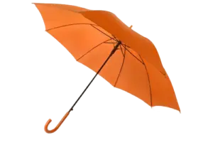 зонт трость_5
