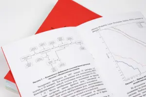 печать авторефератов в екатеринбурге - картинка 15