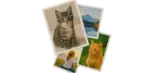 Печать фотографий 10х15 в Copy.ru