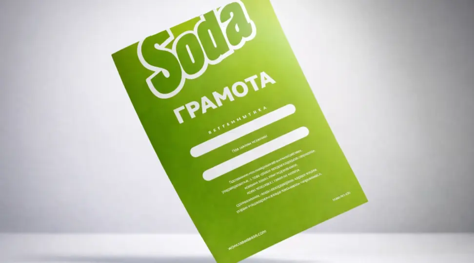  - картинка 6