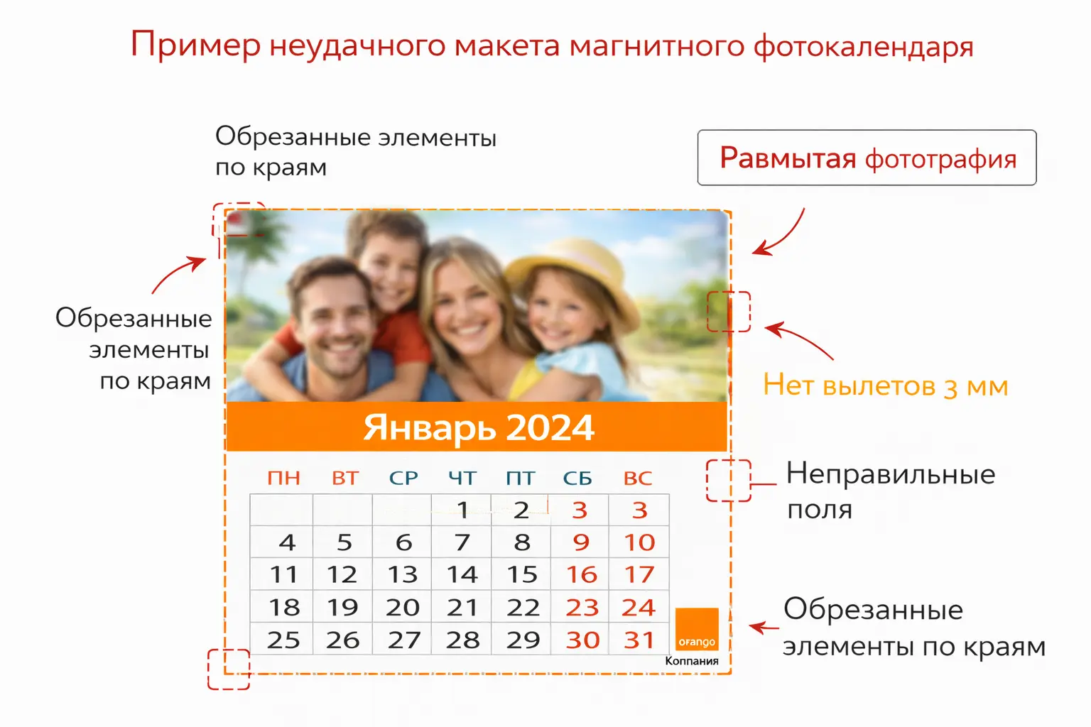 ChatGPT Image 26 февр. 2026 г., 12_08_19