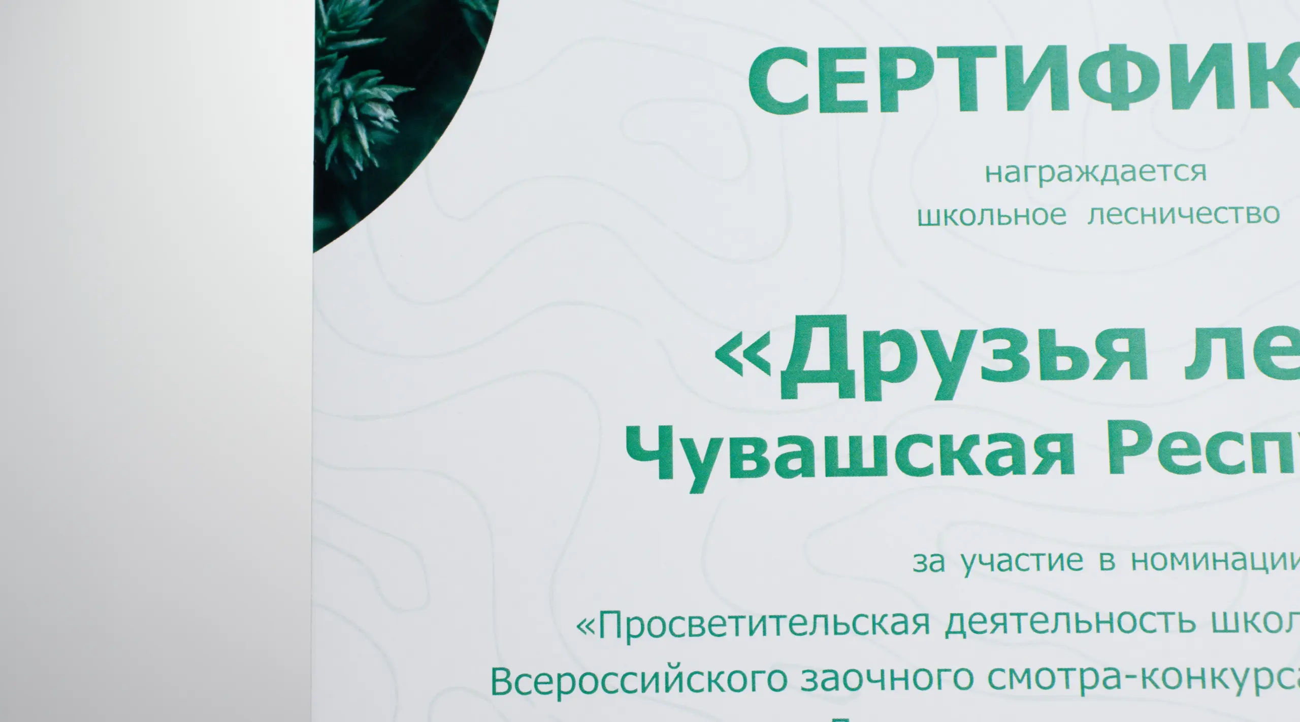  - картинка 16