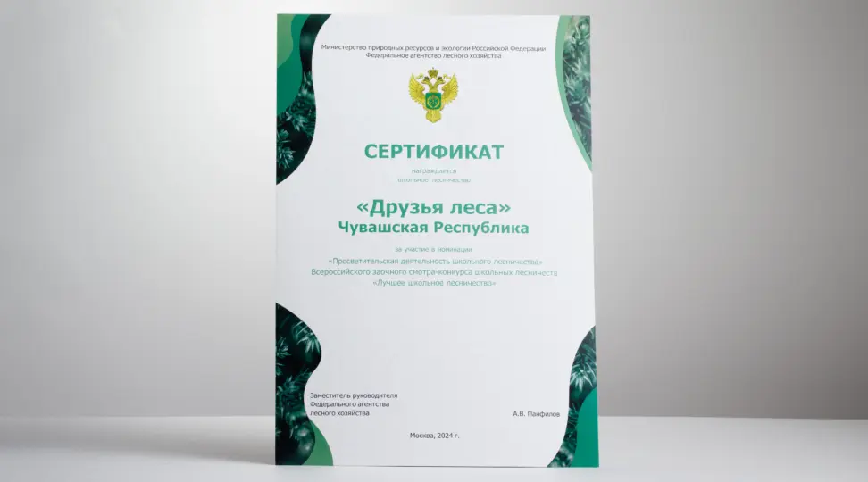  - картинка 7