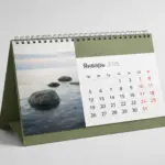  - картинка 12