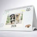  - картинка 9