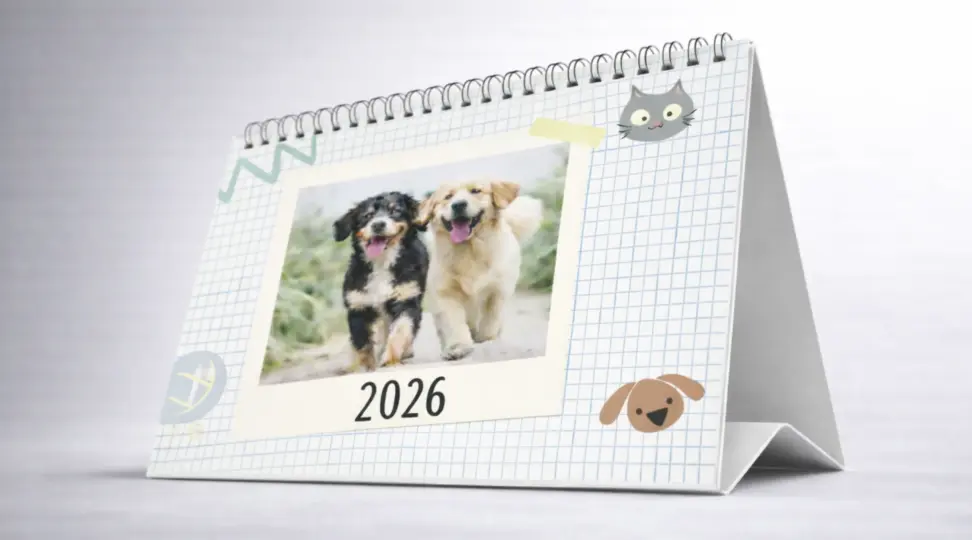  - картинка 3