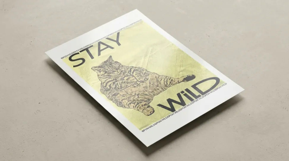  - картинка 8