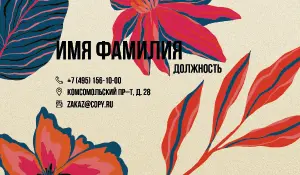 превью_бровист_4