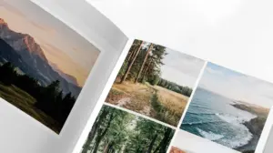 печать фотокниг на скрепке в екатеринбурге - картинка 5