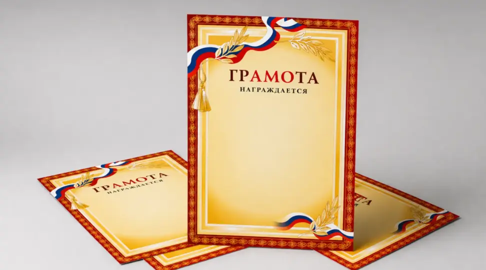  - картинка 5