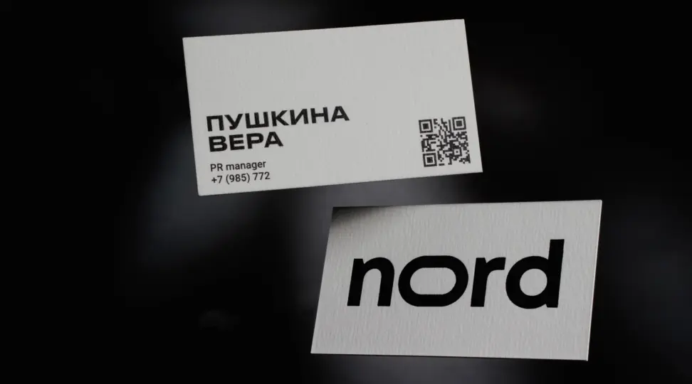 Дизайнерские визитки «Nord» - картинка 1