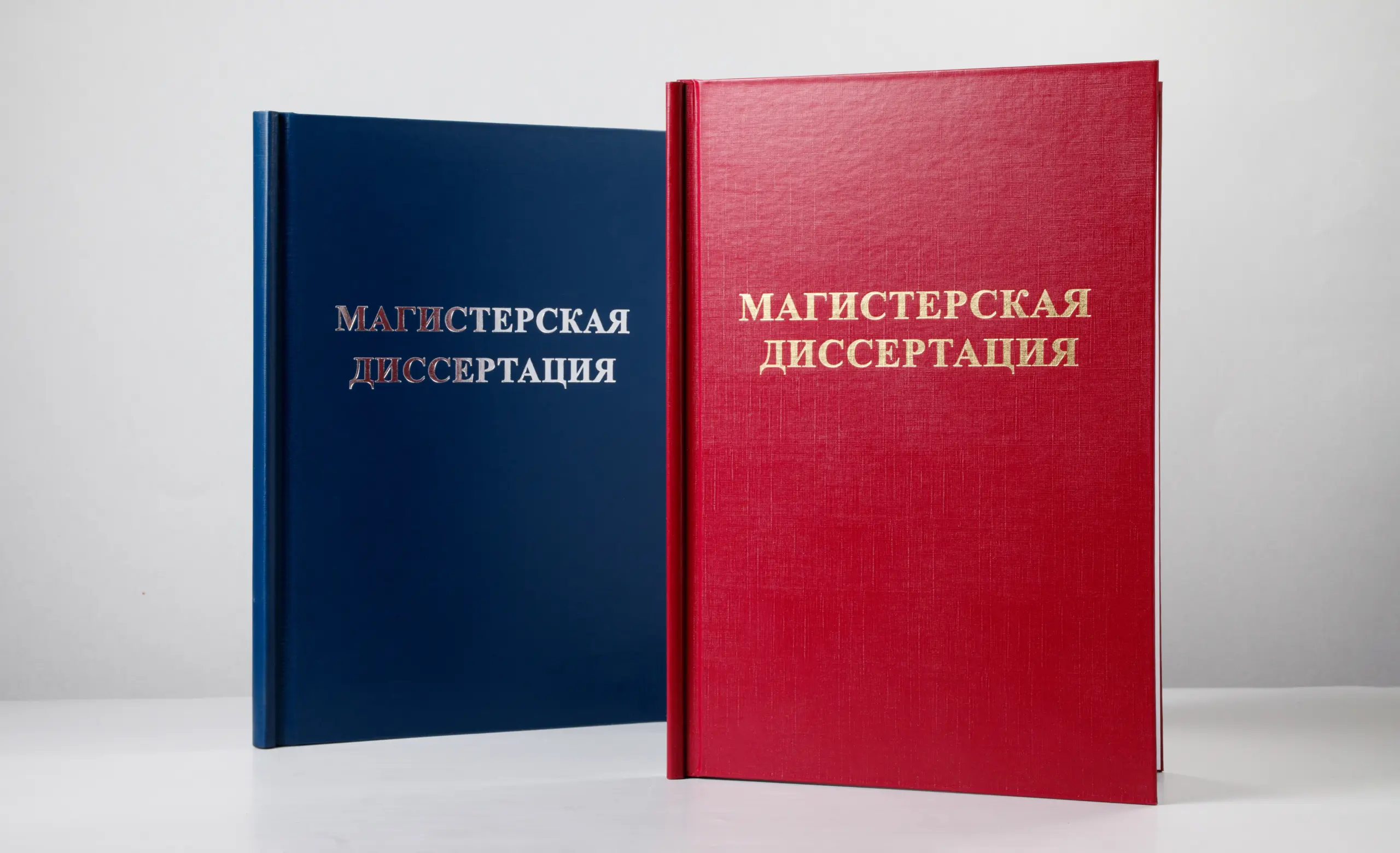 Магистерская диссертация