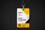  - картинка 12