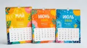  - картинка 8