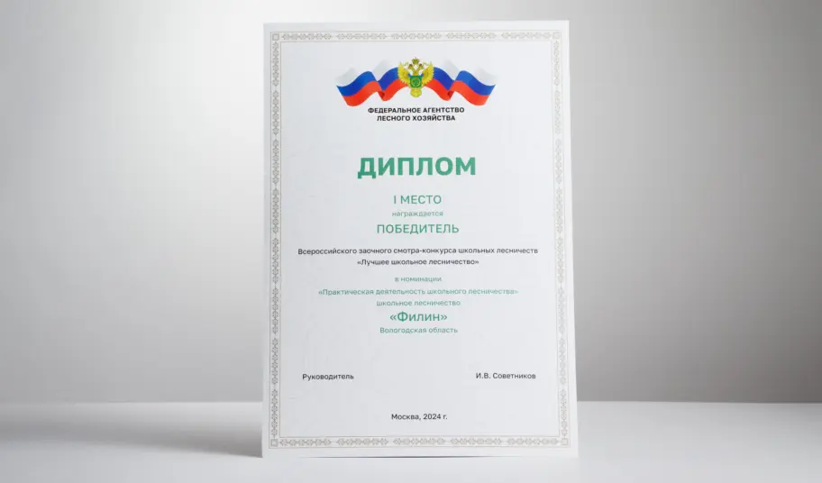 Как напечатать диплом: виды, материалы и подготовка макета