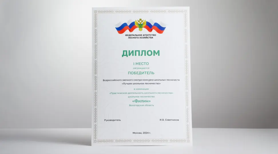 Как напечатать диплом: виды, материалы и подготовка макета - картинка
