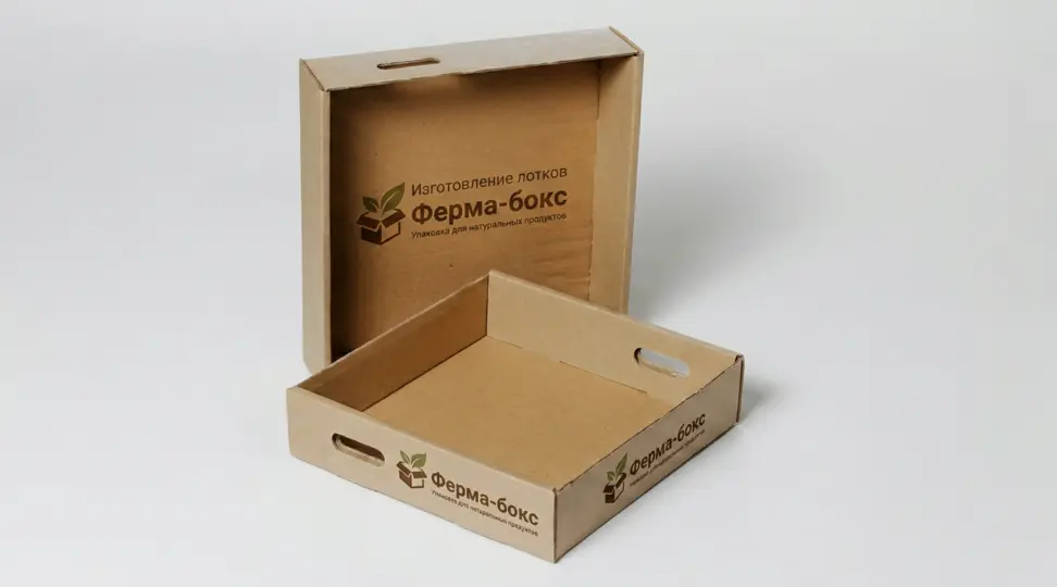  - картинка 5