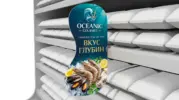  - картинка 9