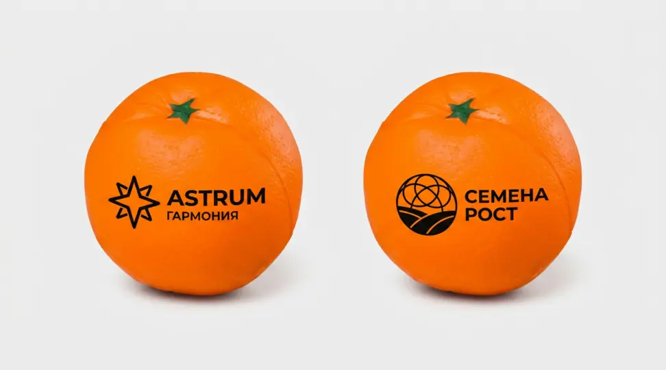  - картинка 3