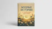  - картинка 12