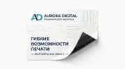  - картинка 12