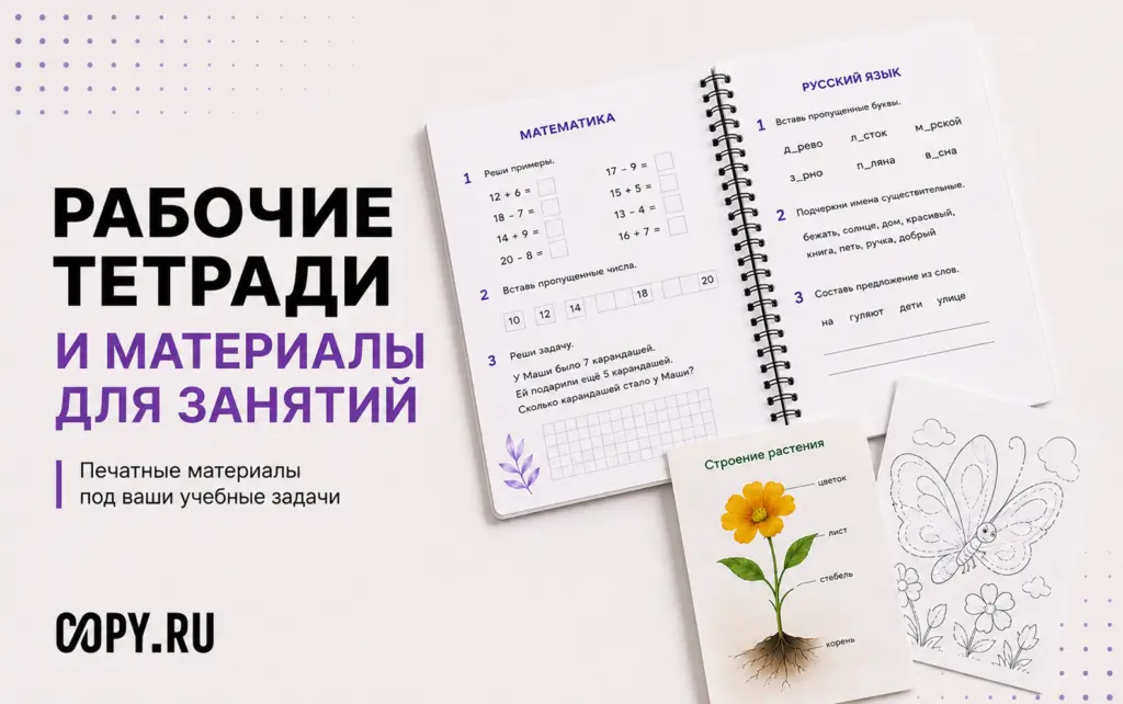 Рабочие тетради под ваши учебные задачи - картинка