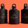 Три матовые чёрные фляжки с лазерной гравировкой NORTH WAY на коралловом фоне