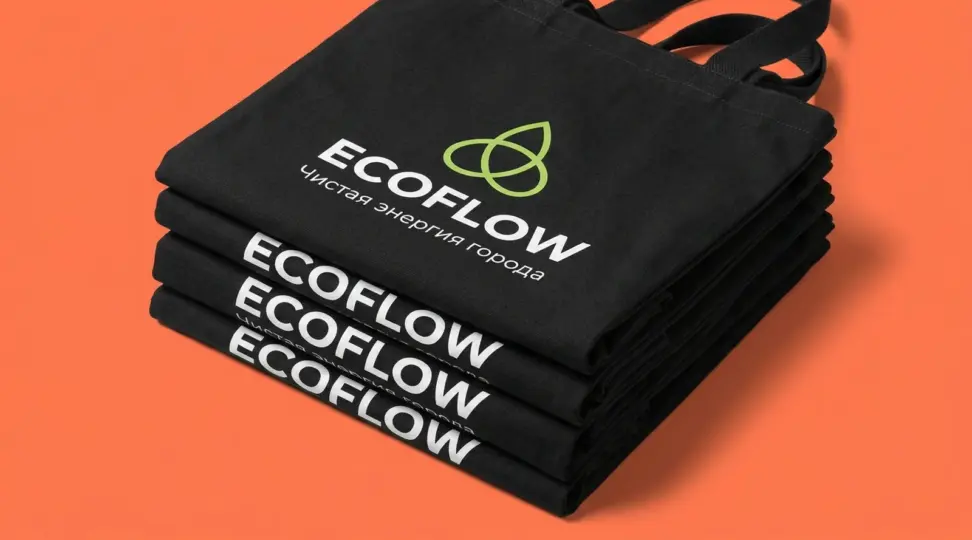 Шопер для экотех-компании EcoFlow - картинка 4