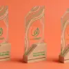 Три стелы EcoSmart Solutions из прозрачного акрила и дерева на оранжевом фоне