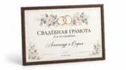  - картинка 12