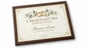  - картинка 11