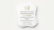  - картинка 7