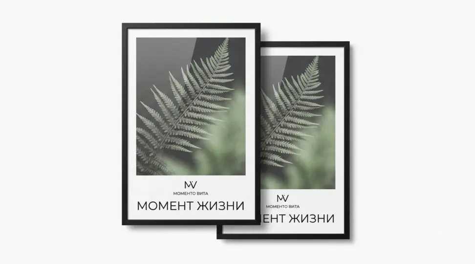  - картинка 3